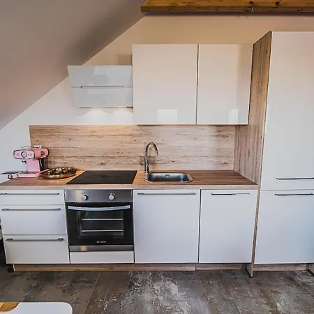 Apartment Vazataor With Sauna Brezice