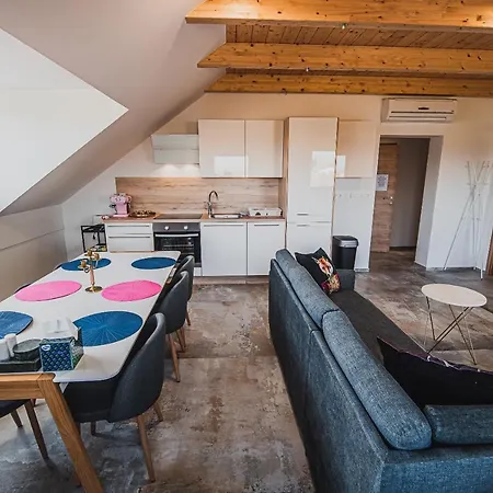 Vazataor With Sauna Brežice